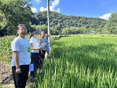 南漳县肖堰镇财政所：踏田入户核底数 惠农直补暖民心 