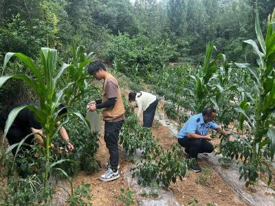 南漳县开展农产品质量安全专项抽检行动 