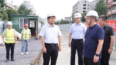 李恒调研督导民生实事项目建设 