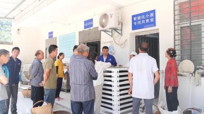 沉寂半世纪，荆山再吐“新丝”——南漳重振桑蚕产业的“破茧”密码