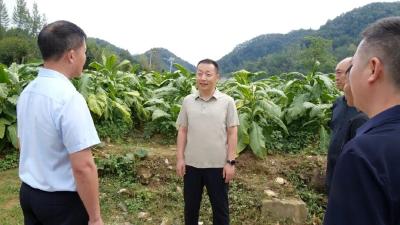 陈栋在薛坪镇调研时强调：选优配强村级班子 为加快建成全省绿色发展标杆县夯实基层基础 