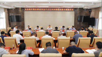 全县集中整治群众身边不正之风和腐败问题专题调度会召开 陈栋主持会议并讲话