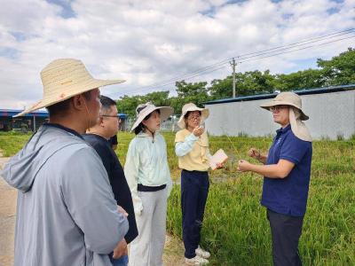 省市农技专家下沉南漳精准指导优质稻中后期管护 