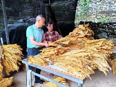 南漳县烟草专卖局全面开展前置分级巡回指导 
