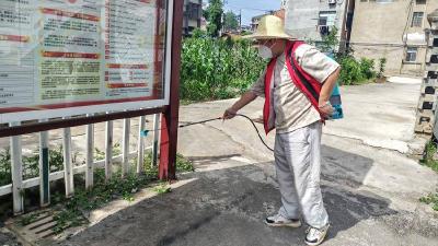 南漳县卞和社区开展夏季蚊蝇专项消杀行动 