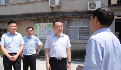 陈栋：以“拆墙并院”为抓手 坚定不移推进城市更新行动 