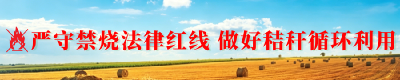 《时·干2026》·秋分｜从白领到新农人：“85后”夫妻的万亩香稻产业链
