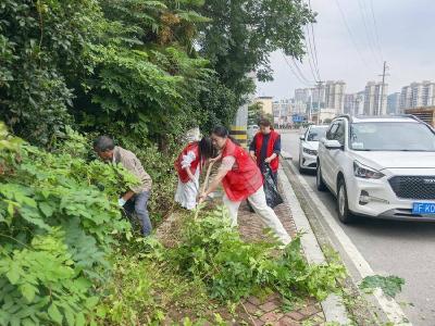 南漳县玉印社区：迎中秋洁家园 焕新环境庆佳节 