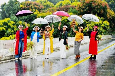 南漳：秋雨润南漳 栾花醉金秋 