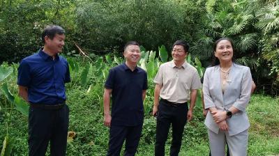 湖北医药学院调研组到我县调研中医药产业发展  