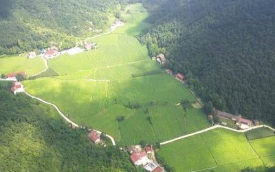 南漳县烟草专卖局：一路守护金叶香 