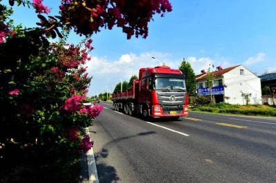 湖北南漳：晨光染紫薇 花路入画来 