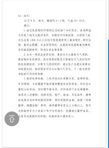 南漳县秋收秋种气象服务专报