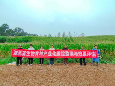 华中农大专家到南漳县调研生物育种产业化工作 