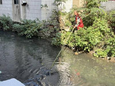 南漳县金庙社区：常态清理沟渠 守护水清岸绿 