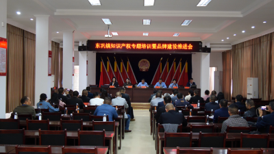县市场监管局联合东巩镇开展知识产权专题培训  