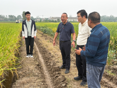 省农业农村厅土壤肥料工作总站到南漳县调研科学施肥增效项目 