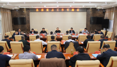 县委重点工作专题会召开 陈栋强调：统筹抓好经济社会发展和平安稳定 确保完成全年目标任务