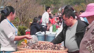 肖堰镇周湾村：万亩茶园“晒秋”游客采茶买山货