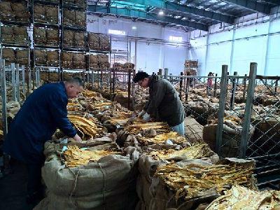 南漳县烟草专卖局开展站厂直调质量检验工作 
