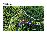 李念摄影展作品欣赏之“生态之路”
