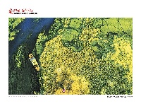李念摄影展作品欣赏之“生态之路”