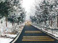 【图集】乡村雪景宛如水墨画卷
