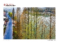 李念摄影展作品欣赏之“生态之路”