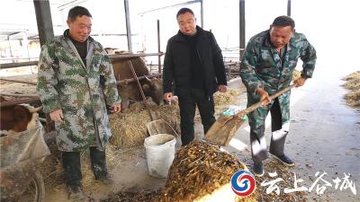 襄阳谷城90后小伙返乡创业 生态循环种养促农增收