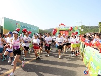 五山春色秀 茶香马拉松！