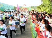 五山春色秀 茶香马拉松！