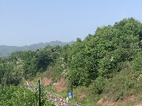 五山春色秀 茶香马拉松！