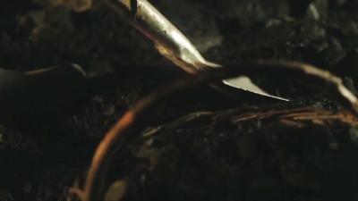 2022诚信之星——王彩荣