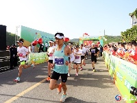 五山春色秀 茶香马拉松！