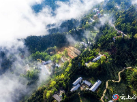 大美薤山云海壮 流云飞渡享清凉