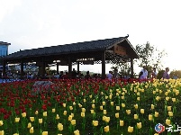 “五谷深情·味在谷城”农旅博览会暨盛康第二届稻虾文化节开幕