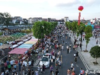 “五谷深情·味在谷城”农旅博览会暨盛康第二届稻虾文化节开幕