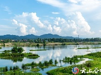 谷城“大美湿地 城市绿心”摄影大赛获奖作品展示