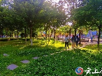 谷城“大美湿地 城市绿心”摄影大赛获奖作品展示