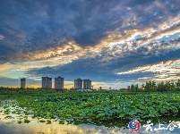 谷城“大美湿地 城市绿心”摄影大赛获奖作品展示