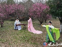 谷城“大美湿地 城市绿心”摄影大赛获奖作品展示