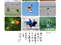湖北省“神农五谷杯”摄影大赛获奖作品赏析（二）