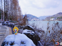 银装素裹 怦然心“冻”！来！让谷城南河雪日美景惊艳你的朋友圈！