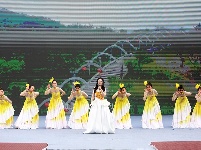 “五谷深情 味在谷城”2024谷城首届农旅博览会暨荆楚购·城关镇电商文化周活动盛大开幕