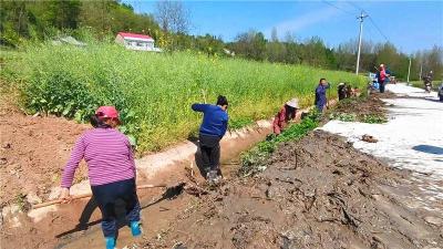 湖北谷城：修缮灌溉渠道 保障水稻种植 