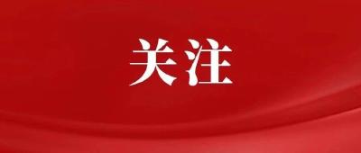 “努力创造经得起历史、实践和人民检验的业绩”——习近平总书记在湖北考察纪实