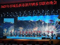 2025年谷城县新春团拜暨春节联欢晚会浓情上演