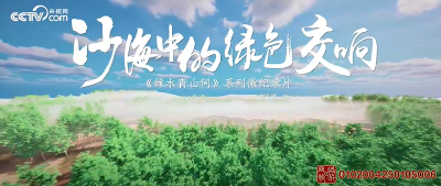 绿水青山间｜沙海中的绿色交响