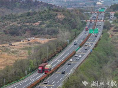 荆楚繁花竞载春 铁水公空迎客潮 清明假期首日182万人次畅行湖北 