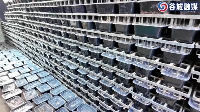 蜈蚣成“金虫”“毒门生意”兴：饭盒蛋托里养出致富“聚宝盆”